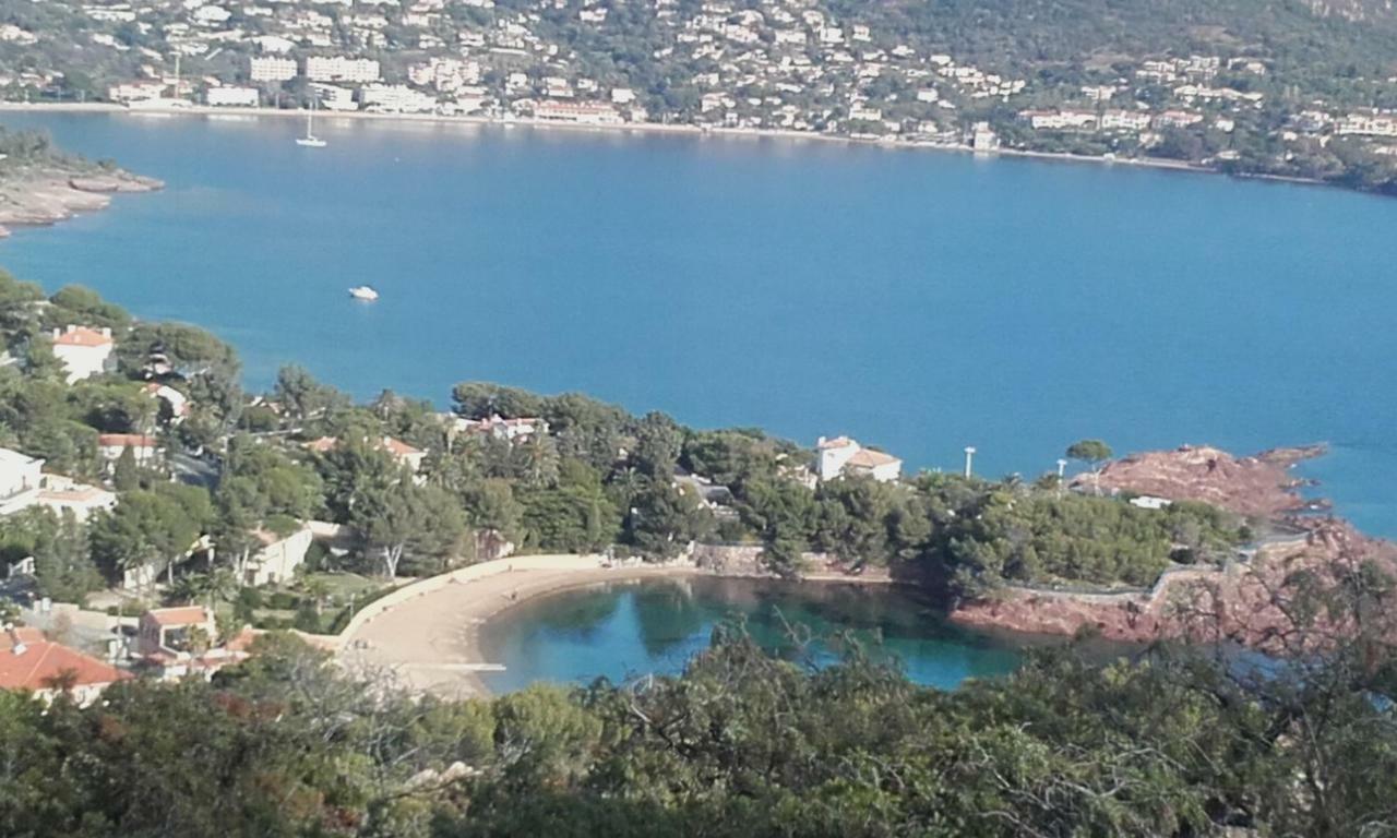 Appartement Vue Mer Piscines Parking Les Coraux Agay Plage Saint-Raphaël Exteriör bild